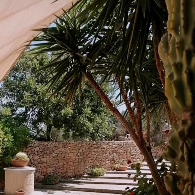 Masseria Agriturismo Il Sorriso Degli Ulivi - Dimora Di Charme Gallipoli Exterior photo